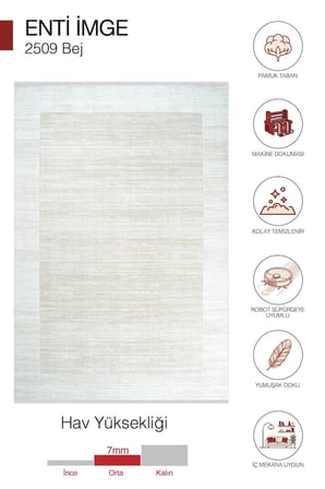 Hoom Rugs İmge 2509 Bej Çerçeveli Akrilik Salon Halısı
