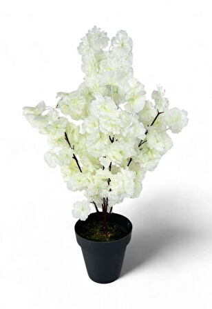 Yapay Ağaç Bahardalı Ağacı Beyaz Japon Kiraz Çiçeği Sakura Çiçeği 70cm Siyah Plastik Saksılı