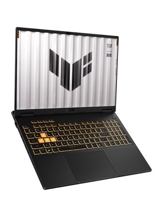Asus TUF Gaming F16 FX608JH-RV081 Intel Core i5 13450HX 24 GB RAM 2 TB SSD RTX5050 FreeDOS F17