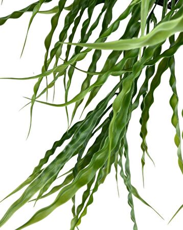 Yapay Çiçek Saksıda Sarkan Yeşil Kıvrımlı Saz 90cm