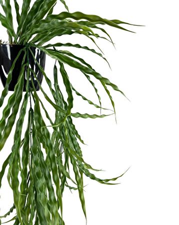 Yapay Çiçek Saksıda Sarkan Yeşil Kıvrımlı Saz 90cm