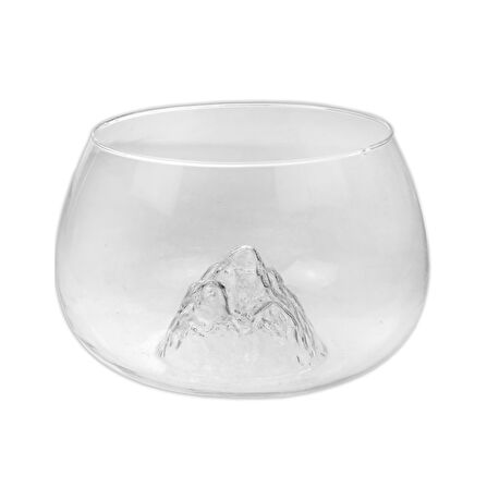 Büyük Boy Cam Fanus Teraryum Balık Ve Çiçek Dekoru 24x18