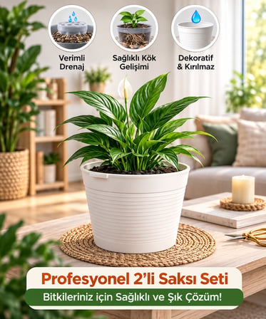 Akıllı 2'li Saksı Seti - Bone Beyaz Dekoratif Saksı + Şeffaf Üretim Saksısı | Drenajlı, Kırılmaz