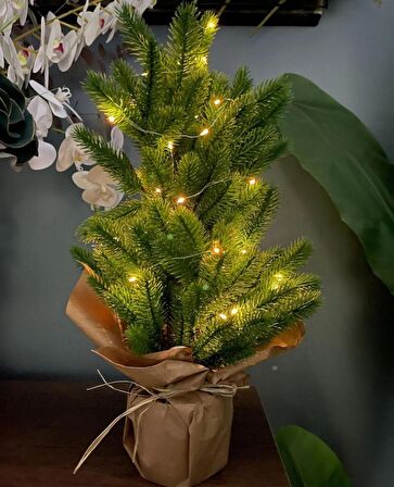 Yılbaşı Ağacı Led Işıklı Yapay Çam Ağacı Kraft Saksıda 55cm