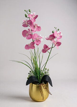 Yapay Çiçek Pembe Islak Orkide Gold Metal Saksıda Saksıda Orkide 50cm