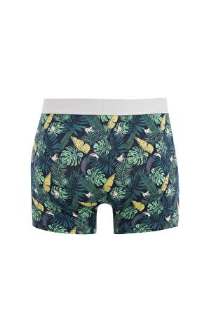 DeFacto Regular Fit Baskılı 3'lü Boxer C9568AX24AUNV135