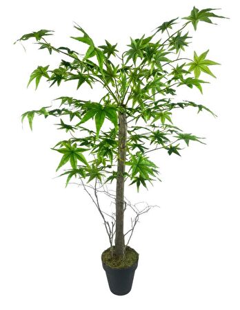 Yapay Ağaç Yeşil Japon Akçaağacı 100x70cm Siyah Plastik Saksılı