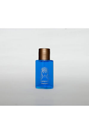 Otel Tipi Şampuan 35 Ml 1000 Adet