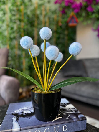 Yapay Çiçek Mavi Pompon Siyah Saksıda Dekoratif Yapay Çiçek 30*20cm