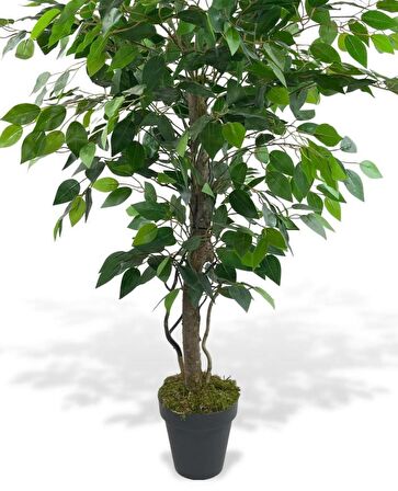 Yapay Ağaç Benjamin Yeşil SAlex Dallı 110*70cm Siyah Plastik Saksılı