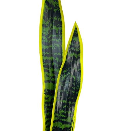 Yapay Çiçek Sansevieria Yeşil Kılıç Çiçeği 4 Adet 65cm Salon Çiçeği Yapay Bitki