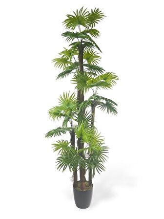 Yapay Ağaç Yelpaze Palmiye 5Katlı Fanpalm 40 Yaprak 180*65cm