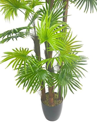 Yapay Ağaç Yelpaze Palmiye 5Katlı Fanpalm 40 Yaprak 180*65cm