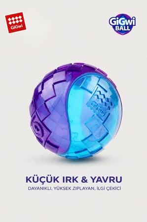 Ball Originals Özel Dokulu & Sesli Köpek Oyun Topu - Tekli Paket - Küçük Irk & Yavru - 5 cm