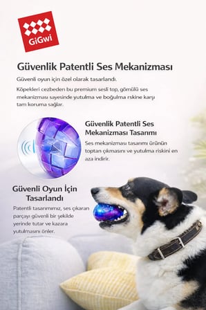 Ball Originals Özel Dokulu & Sesli Köpek Oyun Topu - Tekli Paket - Küçük Irk & Yavru - 5 cm