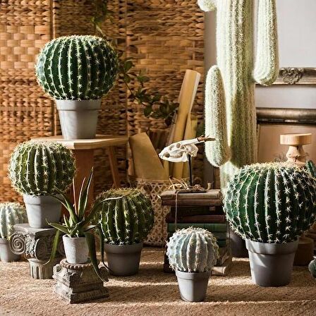 Yapay Çiçek Echinocactus Grusonii Altın Fıçı Kaktüs Siyah Saksıda 35*25m Cactüs  sk4010s
