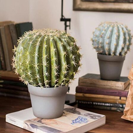 Yapay Çiçek Echinocactus Grusonii Altın Fıçı Kaktüs Siyah Saksıda 35*25m Cactüs  sk4010s