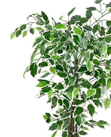 Yapay Ağaç Benjamin 120cm Yeşilbeyaz Çalılı Siyah Plastik Saksılı
