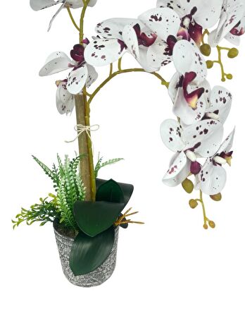 Yapay Çiçek 2li Benekli Bordo Islak Orkide Seramik Saksıda Orkide 60cm