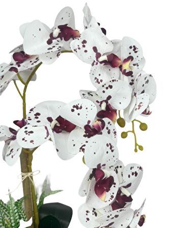 Yapay Çiçek 2li Benekli Bordo Islak Orkide Seramik Saksıda Orkide 60cm