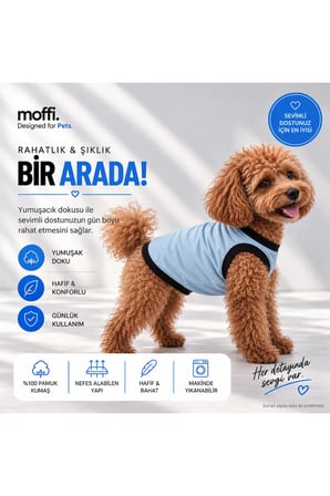 moffi Kedi Ve Küçük Irk Köpekler İçin Günlük Kullanım Pamuklu Atlet