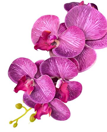 Yapay Çiçek Fuşya Damarlı Islak Orkide Uzun Dal 90 cm Orkide