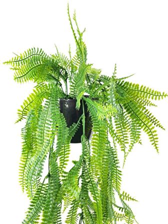 Yapay Çiçek Siyah Saksıda Sarkan Çiçek Boston Fern 
