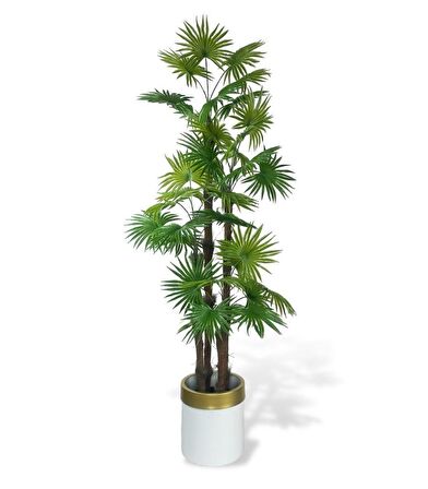 Yapay Ağaç Yelpaze Palmiye 4Katlı Fanpalm 32 Yaprak Altın Kemerli Beyaz Saksıda 170*65cm