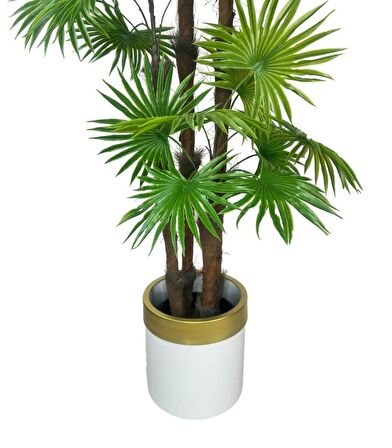 Yapay Ağaç Yelpaze Palmiye 4Katlı Fanpalm 32 Yaprak Altın Kemerli Beyaz Saksıda 170*65cm