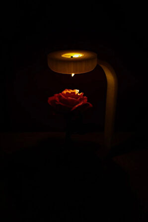 3D Yazıcı Üretimi Gül Işığı – Tealight Gece Lambası