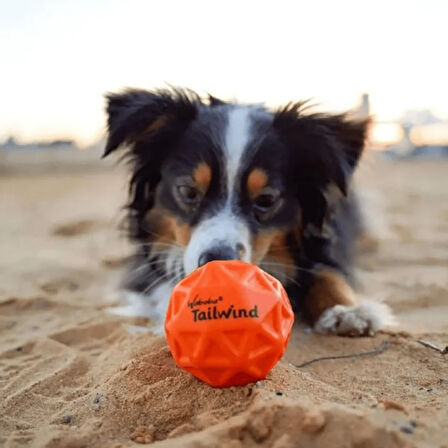 Waboba Tailwind Köpek Oyuncağı Top