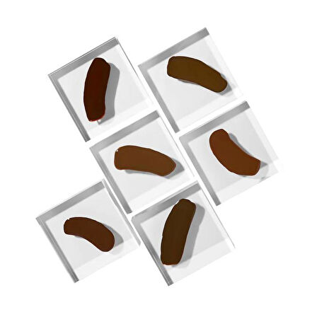 Perma Blend Luxe - Paulina Osinkowska Collection Ombre Brows Set - 6'lı Kalıcı Makyaj Boya Seti - 15 ml