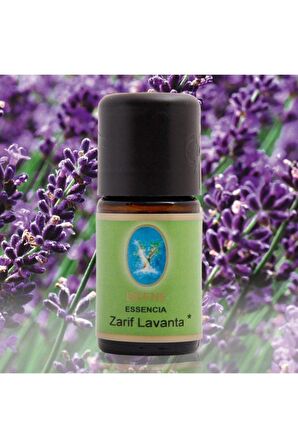 Defne Essencia 5 ml Zarif Lavanta Yağı