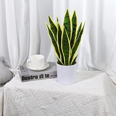 Yapay Çiçek Saksılı Yeşil Kılıç Çiçeği Dal 68cm Salon Çiçeği Beyaz Seramik Saksılı Yapay Bitki
