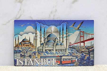 Silikon İstanbul Temalı Magnet Alk4348
