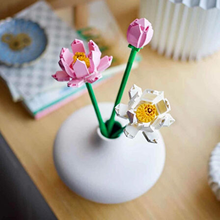 Lotus Çiçekleri 40647