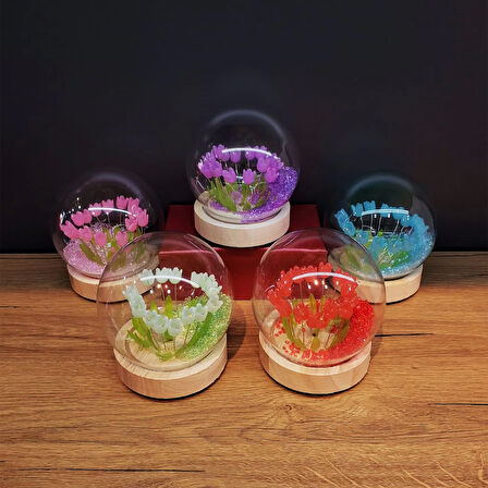 Led Işıklı Lale Cam Fanus