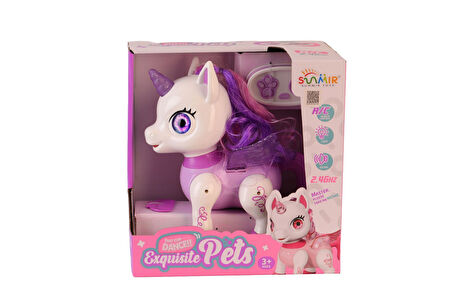 SM09F-SM05F S ŞARJLI KUMANDALI