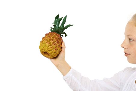 Nino 595 Ananas Görünümlü Shaker