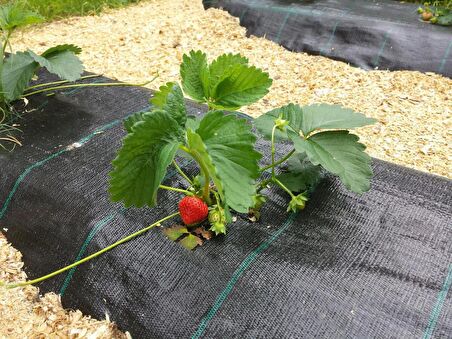 Taban Örtüsü 3X9 M Jüt Kumaş Malç Sera Yer Örtüsü Malçlama