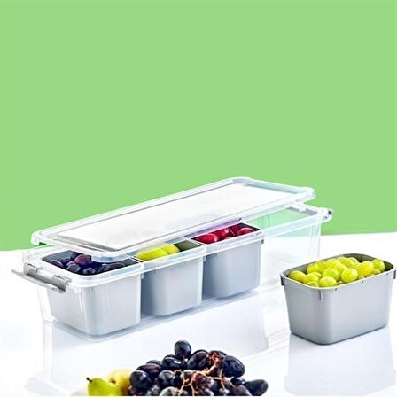CT-STONES® 4 Bölmeli Derin Grand Organizer