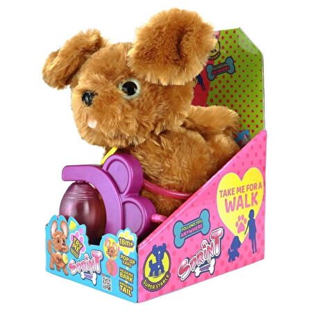 Sevimli Koşu Arkadaşım Golden