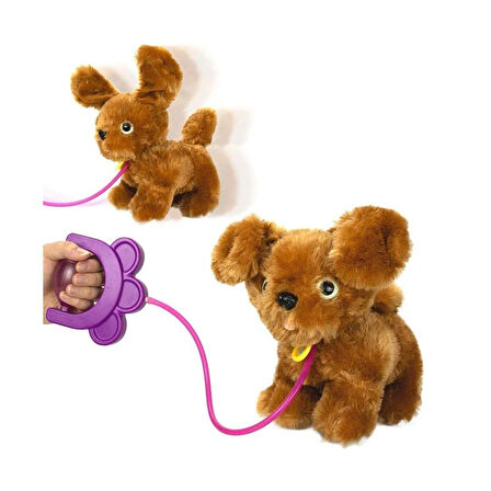 Sevimli Koşu Arkadaşım Golden