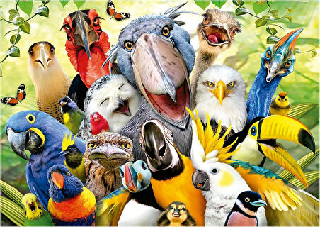 Educa 500 Parça Kuş Selfiesi Puzzle - Watch The Birdie - 19622