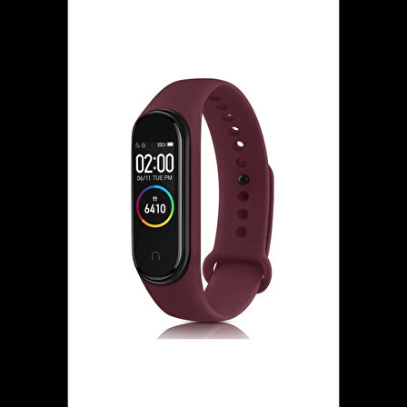 Newface Xiaomi Mi Band 4 Klasik Kordon