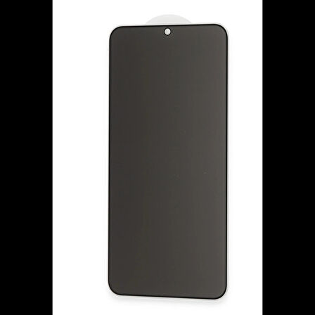 Newface Samsung Uyumlu Galaxy S23 Plus Hayalet Edge Cam Ekran Koruyucu