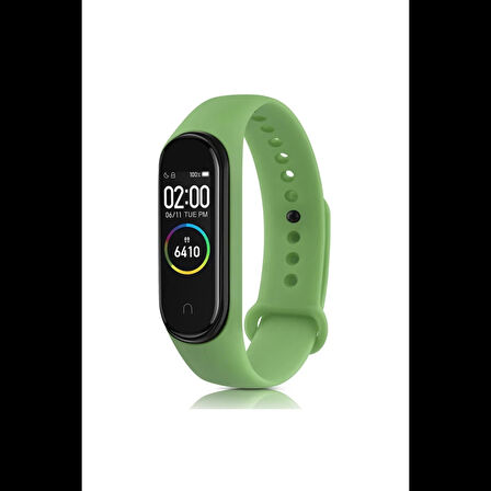 Newface Xiaomi Mi Band 6 Klasik Kordon