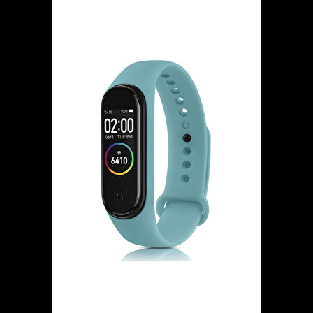 Newface Xiaomi Mi Band 4 Klasik Kordon