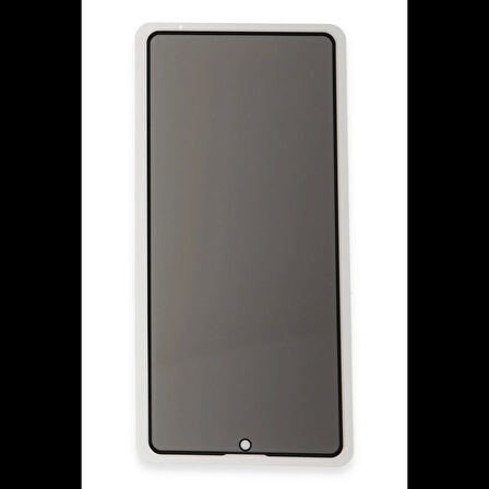 Newface iPhone 12 Pro Max 3D Antistatik Hayalet Cam Ekran Koruyucu