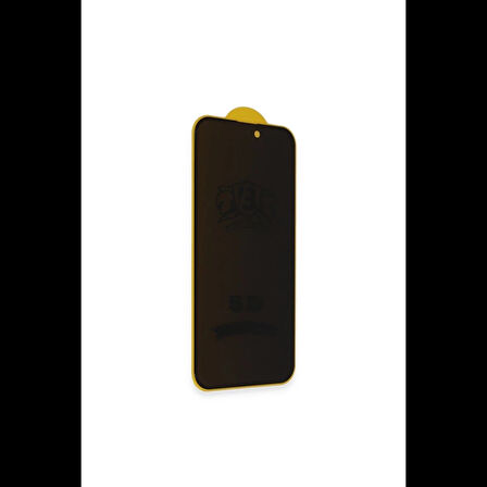 Newface iPhone 16 Pro Bilvis 3D Hayalet Cam Ekran Koruyucu